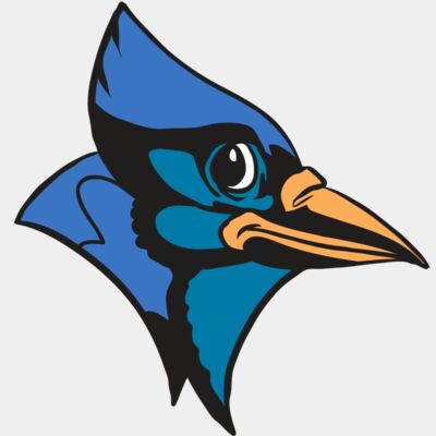 AR31 BLUEJAY 04 RQC Thumbnail