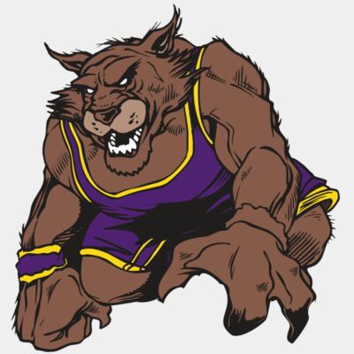 AR WILDCAT 23 RC Thumbnail