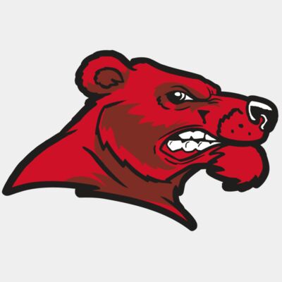 AR BEAR 55 RC Thumbnail