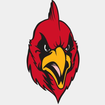 BAW CARDINAL 11 RC Thumbnail