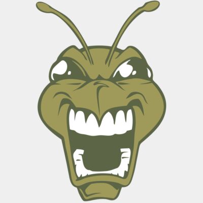 BAW BEE 13 RC Thumbnail