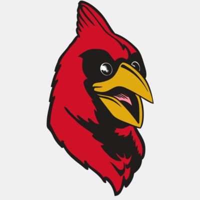 BAW CARDINAL 05 RC Thumbnail