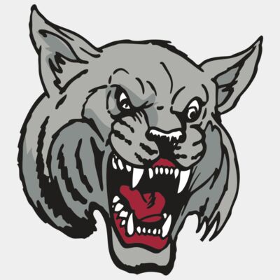 AR WILDCAT 42 RC Thumbnail