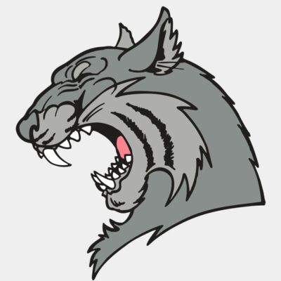 AR WILDCAT 41 RC Thumbnail