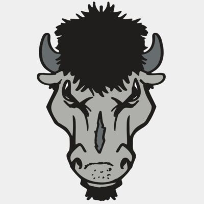 AR BUFFALO 15 RC Thumbnail