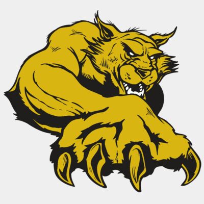 AR WILDCAT 26 RC Thumbnail