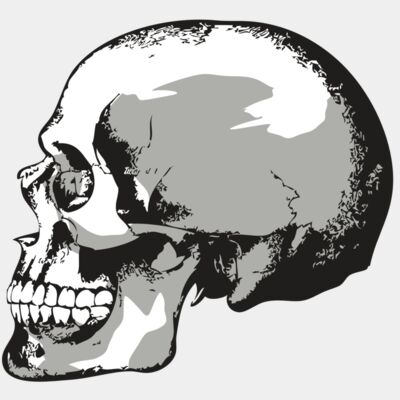 AR24 SKULL 02 RQC Thumbnail