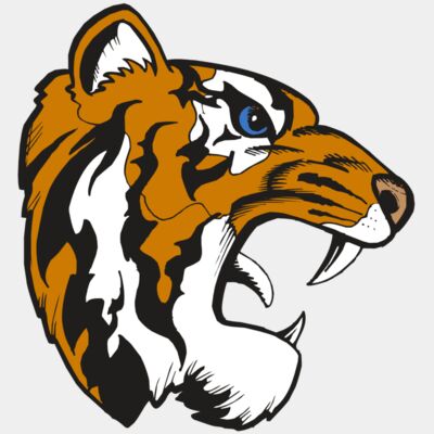 BAW TIGER 08 RC Thumbnail