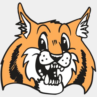 AR WILDCAT 13 RC Thumbnail