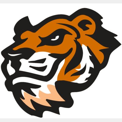 AR TIGER 21 RC Thumbnail