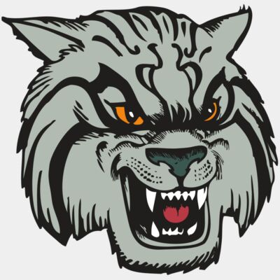 BAW WILDCAT 03 RC Thumbnail