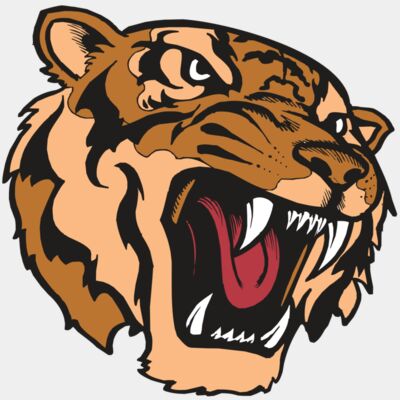 BAW TIGER 07 RC Thumbnail