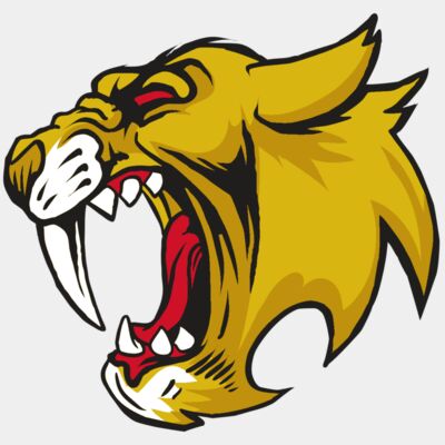 AR30 SABER 04 RQC Thumbnail