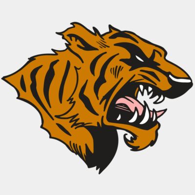 AR5 TIGER 08 RQC Thumbnail