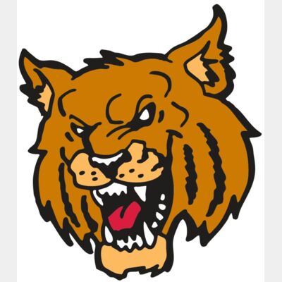 AR WILDCAT 36 RC Thumbnail