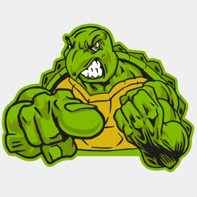 AR31 TURTLE 02 RQC Thumbnail