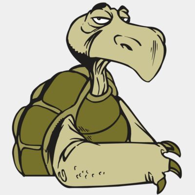 AR5 Turtle 01 RQC Thumbnail