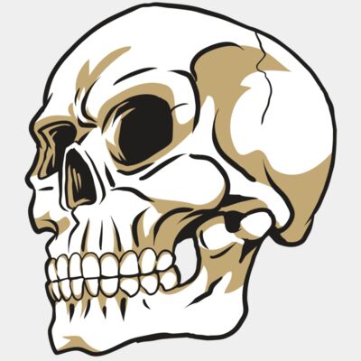 AR24 SKULL 08 RQC Thumbnail