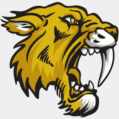 AR30 SABER 03 RQC Thumbnail