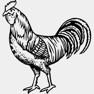 CHICK002 Thumbnail