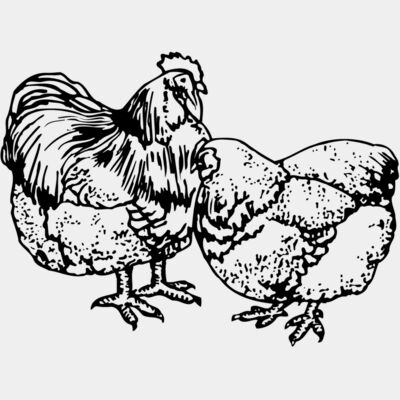 CHICK018 Thumbnail