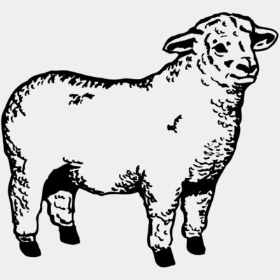 SHEEP003 Thumbnail