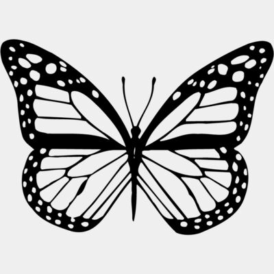 BTRFLY04 Thumbnail