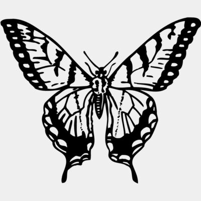 BTRFLY06 Thumbnail