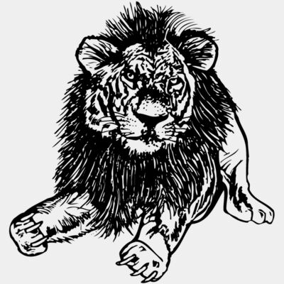LION005 Thumbnail