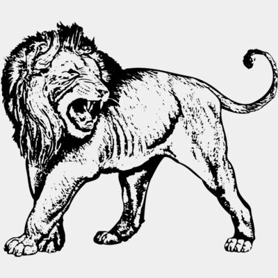 LION007 Thumbnail