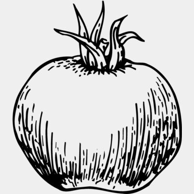 VEG014 Thumbnail