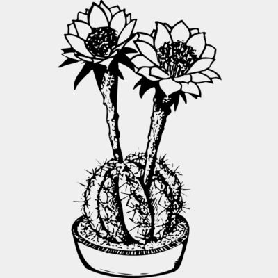 CACTUS03 Thumbnail