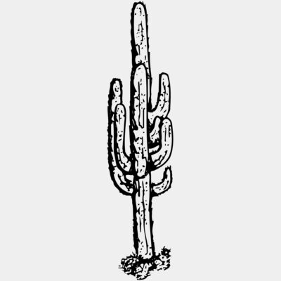 CACTUS12 Thumbnail