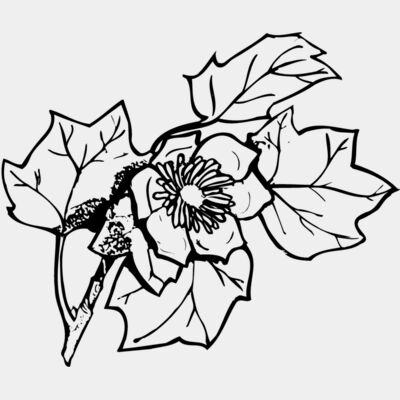 FLOWER09 Thumbnail