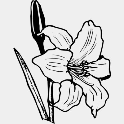 FLOWER12 Thumbnail