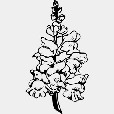 FLOWER14 Thumbnail