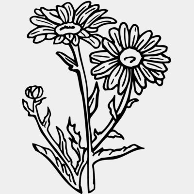 FLOWER17 Thumbnail