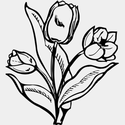 FLOWER24 Thumbnail