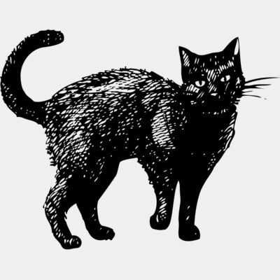 Vintage Cat Illustration Thumbnail