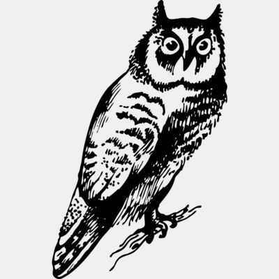 Vintage Owl Illustration Thumbnail