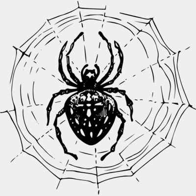 Vintage Spider Illustration Thumbnail