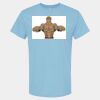 4800 - Best Value 100% Cotton T-Shirt Thumbnail