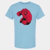 4800 - Best Value 100% Cotton T-Shirt Thumbnail