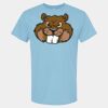 4800 - Best Value 100% Cotton T-Shirt Thumbnail