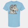 4800 - Best Value 100% Cotton T-Shirt Thumbnail