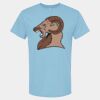 4800 - Best Value 100% Cotton T-Shirt Thumbnail