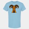 4800 - Best Value 100% Cotton T-Shirt Thumbnail