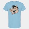 4800 - Best Value 100% Cotton T-Shirt Thumbnail