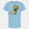 4800 - Best Value 100% Cotton T-Shirt Thumbnail