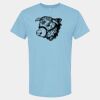 4800 - Best Value 100% Cotton T-Shirt Thumbnail